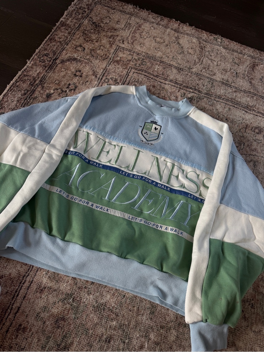 Wellness Academy Colorblock Crewneck Sweater - Blue/Green